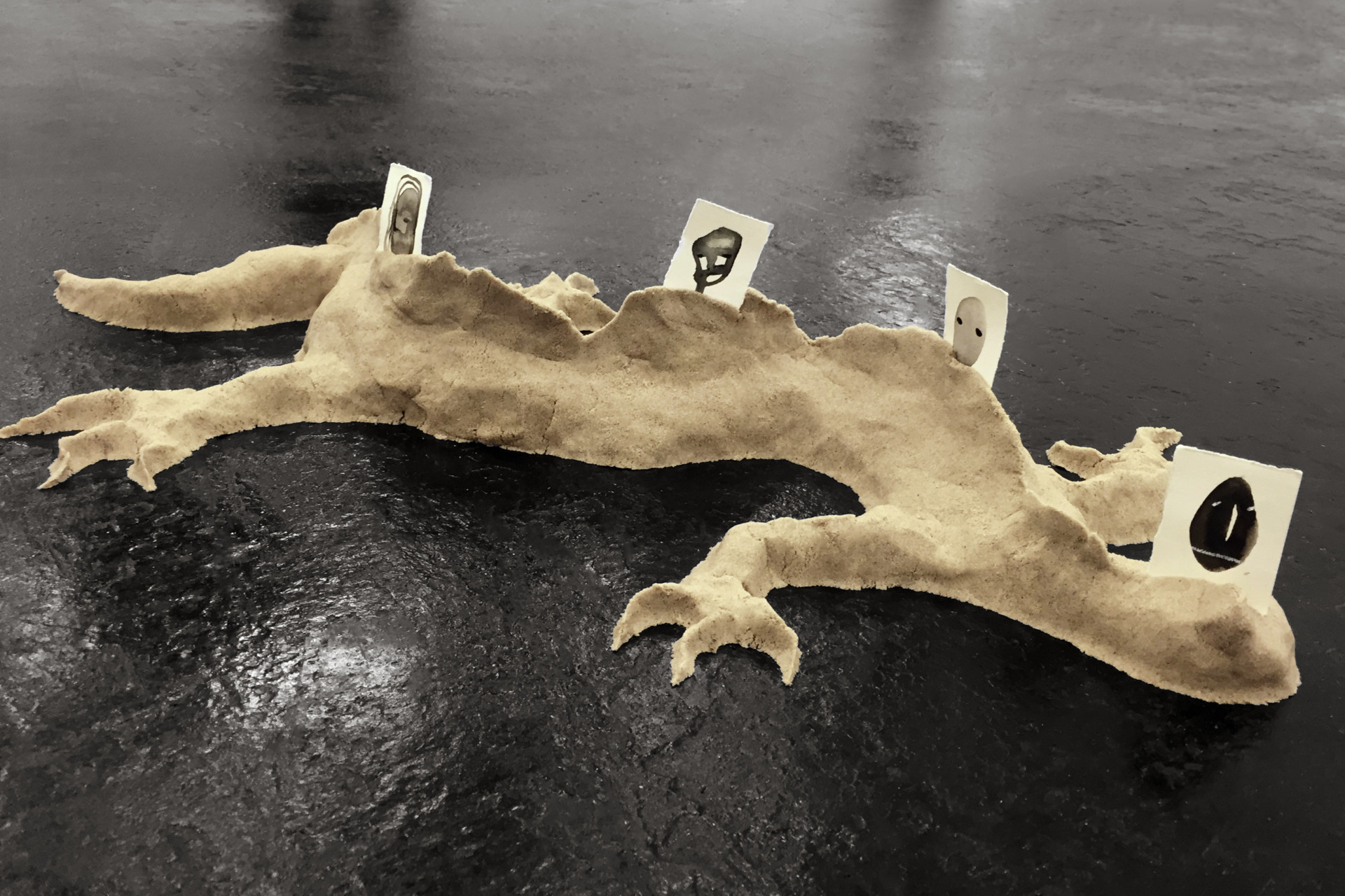 Salamander